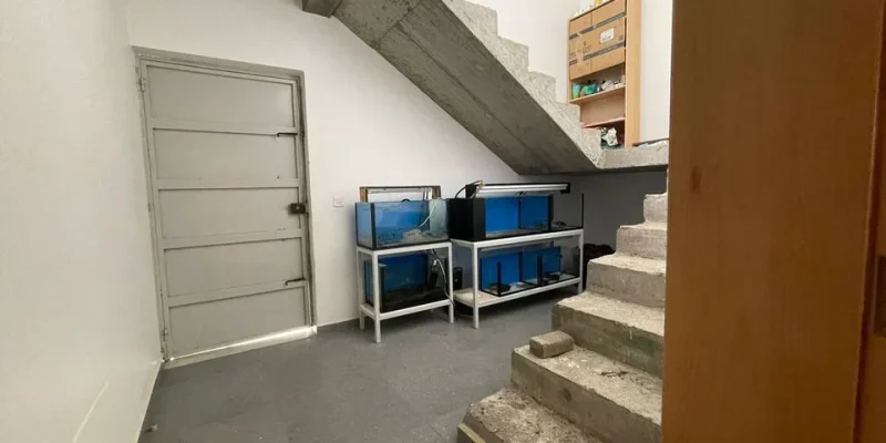 Caixa Escadas
