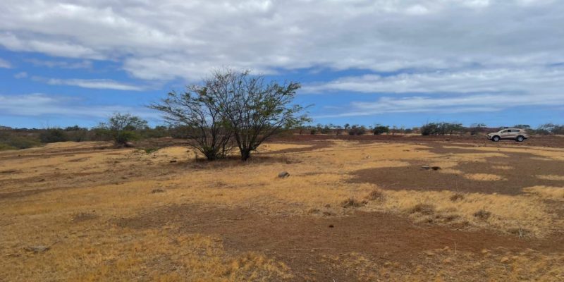 Terreno 700m2 Zona Aeroporto 12