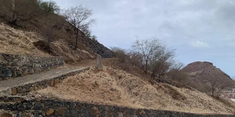 WhatsApp Image 2025-08-02 at 154947