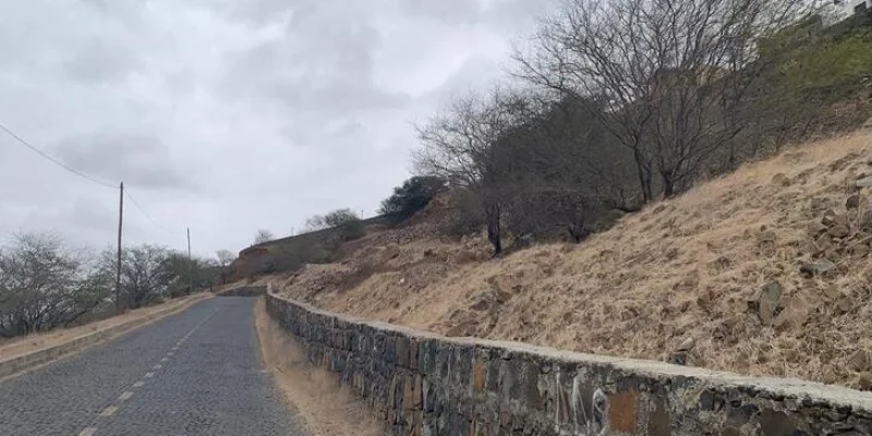 WhatsApp Image 2025-08-02 at 154948 7