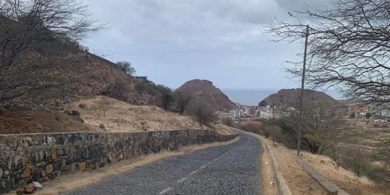 WhatsApp Image 2025-08-02 at 154949 1